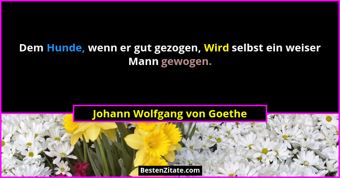 Dem Hunde, wenn er gut gezogen, Wird selbst ein weiser Mann gewogen.... - Johann Wolfgang von Goethe