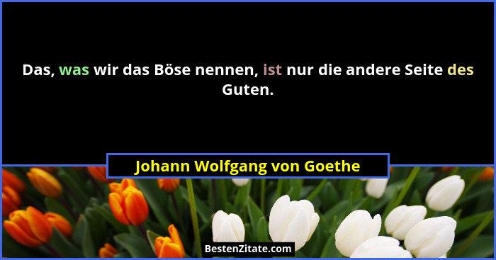 Das, was wir das Böse nennen, ist nur die andere Seite des Guten.... - Johann Wolfgang von Goethe