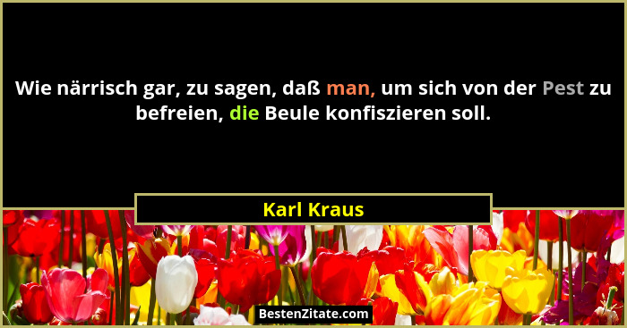 Wie närrisch gar, zu sagen, daß man, um sich von der Pest zu befreien, die Beule konfiszieren soll.... - Karl Kraus