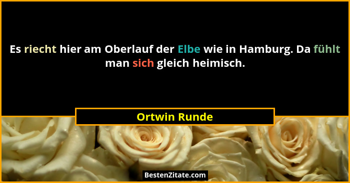 Es riecht hier am Oberlauf der Elbe wie in Hamburg. Da fühlt man sich gleich heimisch.... - Ortwin Runde