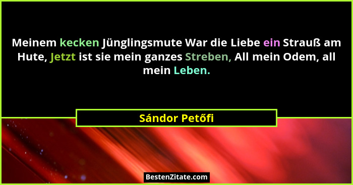 Meinem kecken Jünglingsmute War die Liebe ein Strauß am Hute, Jetzt ist sie mein ganzes Streben, All mein Odem, all mein Leben.... - Sándor Petőfi