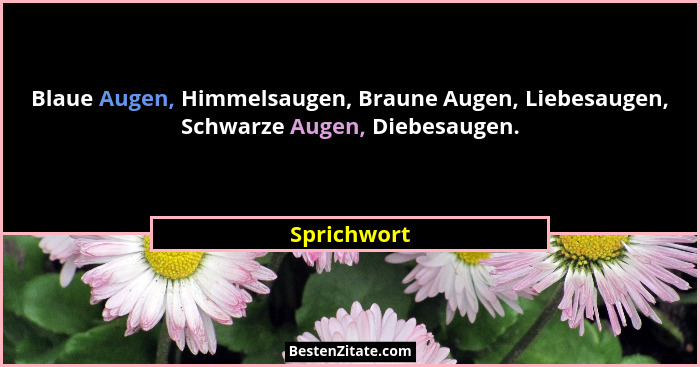 Blaue Augen, Himmelsaugen, Braune Augen, Liebesaugen, Schwarze Augen, Diebesaugen.... - Sprichwort