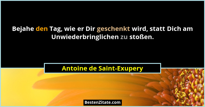 Bejahe den Tag, wie er Dir geschenkt wird, statt Dich am Unwiederbringlichen zu stoßen.... - Antoine de Saint-Exupery