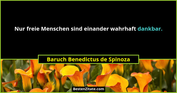 Nur freie Menschen sind einander wahrhaft dankbar.... - Baruch Benedictus de Spinoza