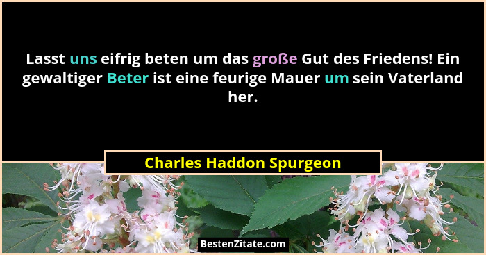 Lasst uns eifrig beten um das große Gut des Friedens! Ein gewaltiger Beter ist eine feurige Mauer um sein Vaterland her.... - Charles Haddon Spurgeon
