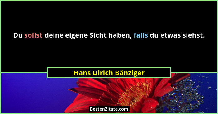 Du sollst deine eigene Sicht haben, falls du etwas siehst.... - Hans Ulrich Bänziger