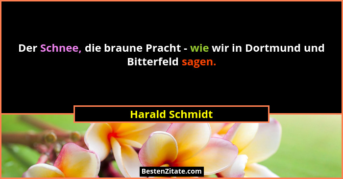 Der Schnee, die braune Pracht - wie wir in Dortmund und Bitterfeld sagen.... - Harald Schmidt