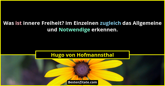 Was ist innere Freiheit? Im Einzelnen zugleich das Allgemeine und Notwendige erkennen.... - Hugo von Hofmannsthal