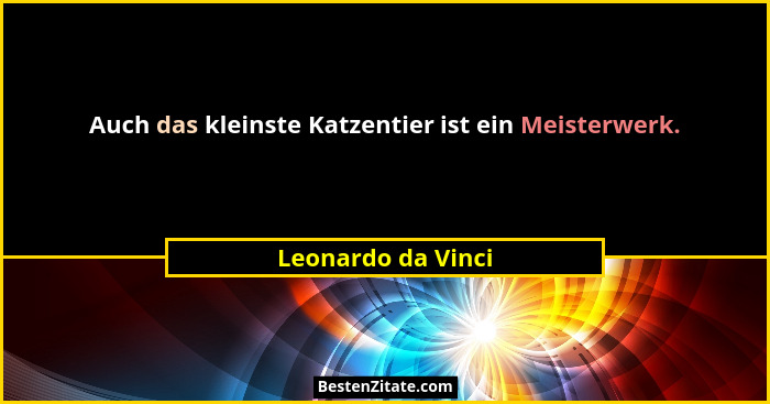 Auch das kleinste Katzentier ist ein Meisterwerk.... - Leonardo da Vinci