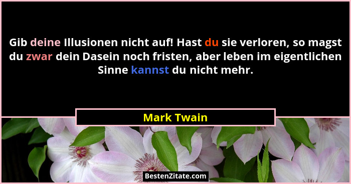 Gib deine Illusionen nicht auf! Hast du sie verloren, so magst du zwar dein Dasein noch fristen, aber leben im eigentlichen Sinne kannst... - Mark Twain