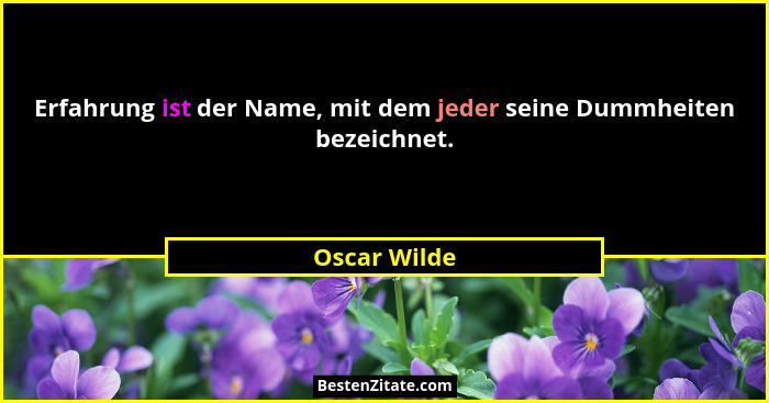 Erfahrung ist der Name, mit dem jeder seine Dummheiten bezeichnet.... - Oscar Wilde