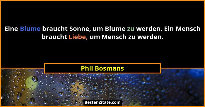 Eine Blume braucht Sonne, um Blume zu werden. Ein Mensch braucht Liebe, um Mensch zu werden.... - Phil Bosmans