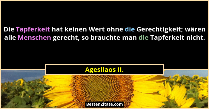 Die Tapferkeit hat keinen Wert ohne die Gerechtigkeit; wären alle Menschen gerecht, so brauchte man die Tapferkeit nicht.... - Agesilaos II.