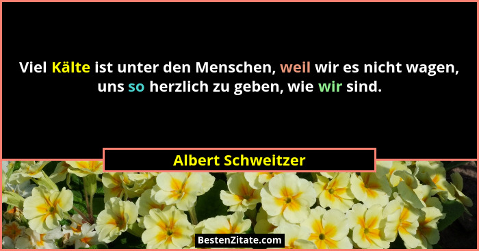 Viel Kälte ist unter den Menschen, weil wir es nicht wagen, uns so herzlich zu geben, wie wir sind.... - Albert Schweitzer
