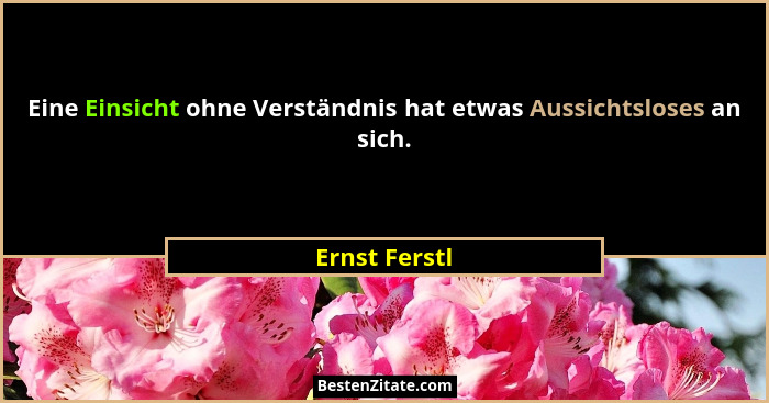 Eine Einsicht ohne Verständnis hat etwas Aussichtsloses an sich.... - Ernst Ferstl