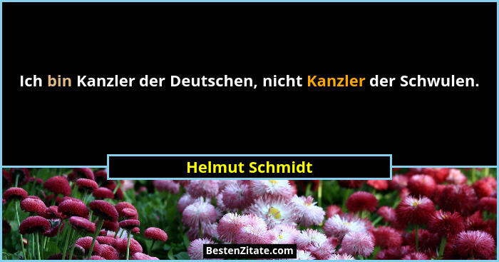 Ich bin Kanzler der Deutschen, nicht Kanzler der Schwulen.... - Helmut Schmidt