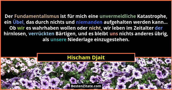 Der Fundamentalismus ist für mich eine unvermeidliche Katastrophe, ein Übel, das durch nichts und niemanden aufgehalten werden kann...... - Hischam Djait