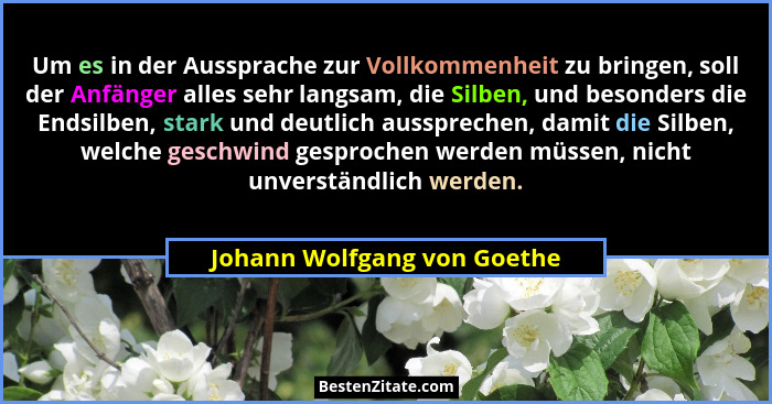Um es in der Aussprache zur Vollkommenheit zu bringen, soll der Anfänger alles sehr langsam, die Silben, und besonders di... - Johann Wolfgang von Goethe