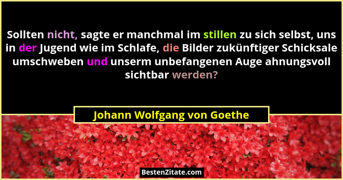 Sollten nicht, sagte er manchmal im stillen zu sich selbst, uns in der Jugend wie im Schlafe, die Bilder zukünftiger Schi... - Johann Wolfgang von Goethe