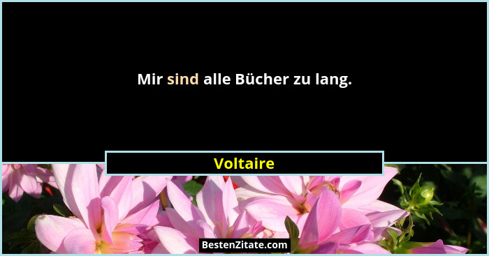 Mir sind alle Bücher zu lang.... - Voltaire