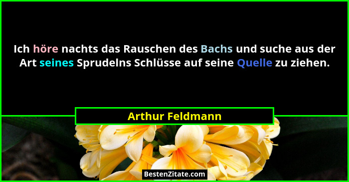 Ich höre nachts das Rauschen des Bachs und suche aus der Art seines Sprudelns Schlüsse auf seine Quelle zu ziehen.... - Arthur Feldmann