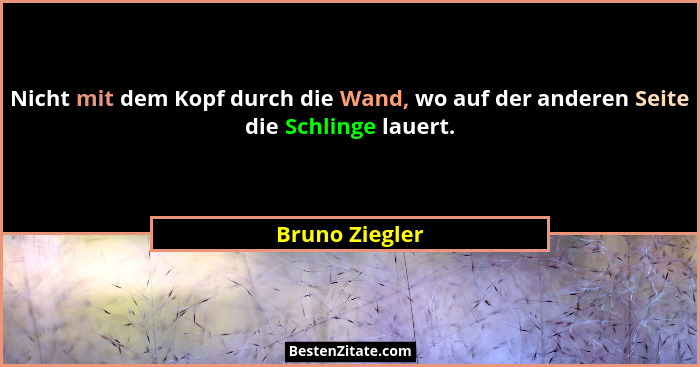 Nicht mit dem Kopf durch die Wand, wo auf der anderen Seite die Schlinge lauert.... - Bruno Ziegler