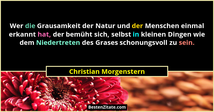 Wer die Grausamkeit der Natur und der Menschen einmal erkannt hat, der bemüht sich, selbst in kleinen Dingen wie dem Niedertre... - Christian Morgenstern
