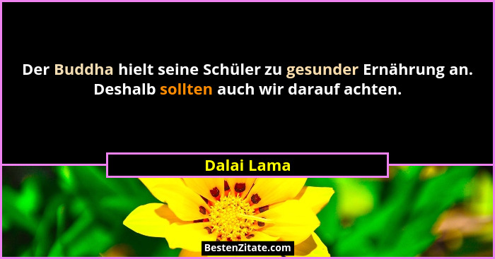 Der Buddha hielt seine Schüler zu gesunder Ernährung an. Deshalb sollten auch wir darauf achten.... - Dalai Lama