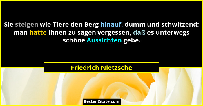 Sie steigen wie Tiere den Berg hinauf, dumm und schwitzend; man hatte ihnen zu sagen vergessen, daß es unterwegs schöne Aussicht... - Friedrich Nietzsche