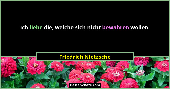Ich liebe die, welche sich nicht bewahren wollen.... - Friedrich Nietzsche