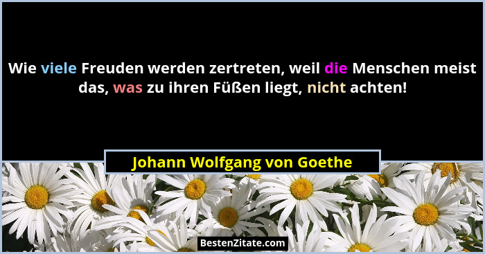Wie viele Freuden werden zertreten, weil die Menschen meist das, was zu ihren Füßen liegt, nicht achten!... - Johann Wolfgang von Goethe