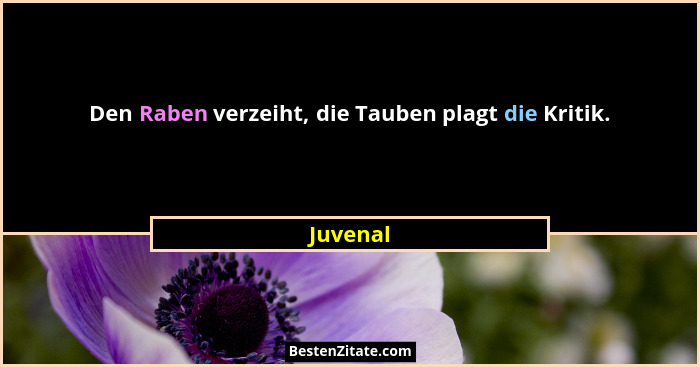 Den Raben verzeiht, die Tauben plagt die Kritik.... - Juvenal