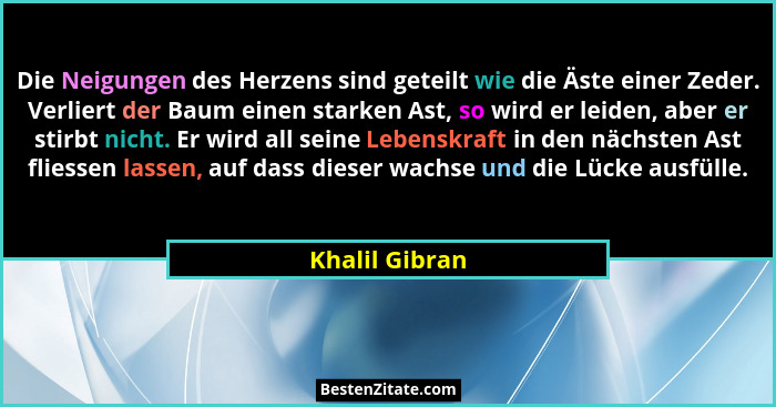 Die Neigungen des Herzens sind geteilt wie die Äste einer Zeder. Verliert der Baum einen starken Ast, so wird er leiden, aber er stirb... - Khalil Gibran
