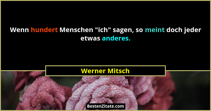 Wenn hundert Menschen "ich" sagen, so meint doch jeder etwas anderes.... - Werner Mitsch