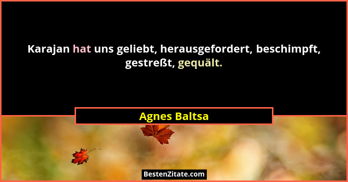 Karajan hat uns geliebt, herausgefordert, beschimpft, gestreßt, gequält.... - Agnes Baltsa