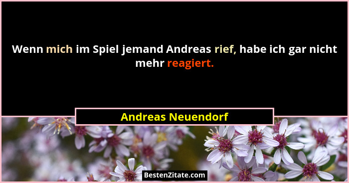 Wenn mich im Spiel jemand Andreas rief, habe ich gar nicht mehr reagiert.... - Andreas Neuendorf