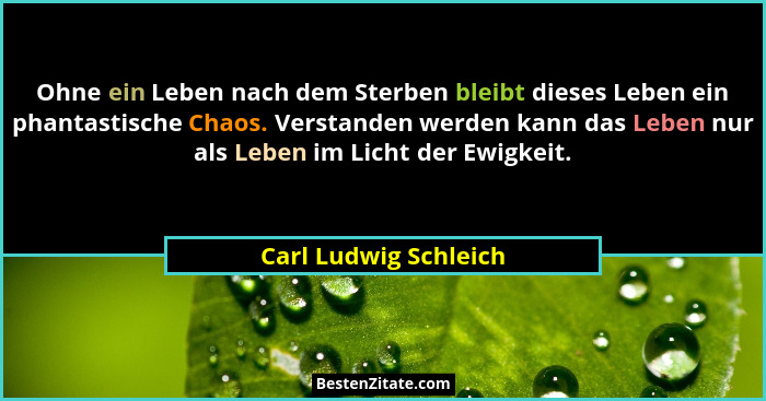 Ohne ein Leben nach dem Sterben bleibt dieses Leben ein phantastische Chaos. Verstanden werden kann das Leben nur als Leben im... - Carl Ludwig Schleich