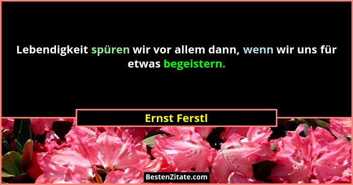 Lebendigkeit spüren wir vor allem dann, wenn wir uns für etwas begeistern.... - Ernst Ferstl