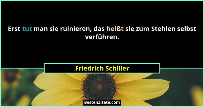Erst tut man sie ruinieren, das heißt sie zum Stehlen selbst verführen.... - Friedrich Schiller