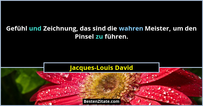 Gefühl und Zeichnung, das sind die wahren Meister, um den Pinsel zu führen.... - Jacques-Louis David