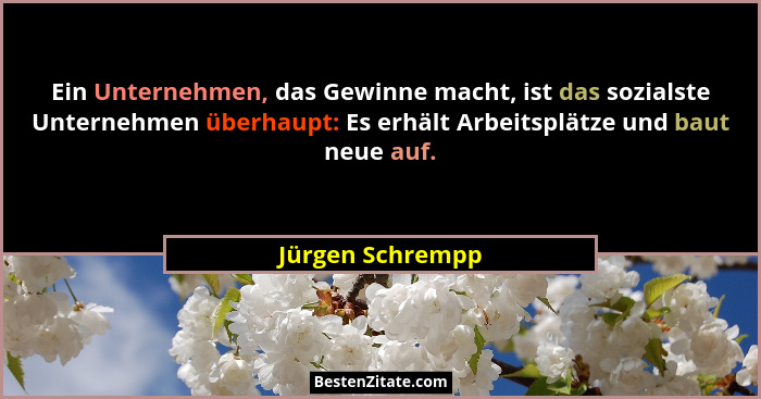 Ein Unternehmen, das Gewinne macht, ist das sozialste Unternehmen überhaupt: Es erhält Arbeitsplätze und baut neue auf.... - Jürgen Schrempp