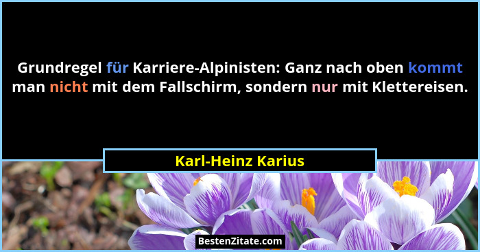 Grundregel für Karriere-Alpinisten: Ganz nach oben kommt man nicht mit dem Fallschirm, sondern nur mit Klettereisen.... - Karl-Heinz Karius