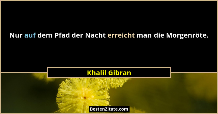 Nur auf dem Pfad der Nacht erreicht man die Morgenröte.... - Khalil Gibran