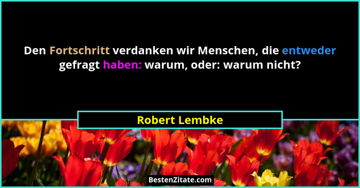 Den Fortschritt verdanken wir Menschen, die entweder gefragt haben: warum, oder: warum nicht?... - Robert Lembke