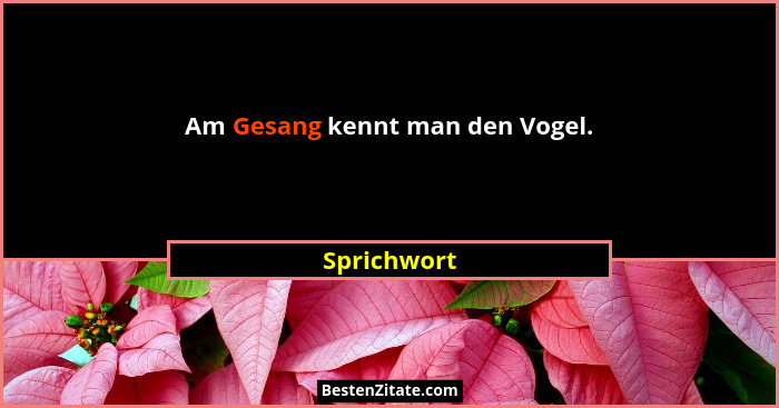 Am Gesang kennt man den Vogel.... - Sprichwort