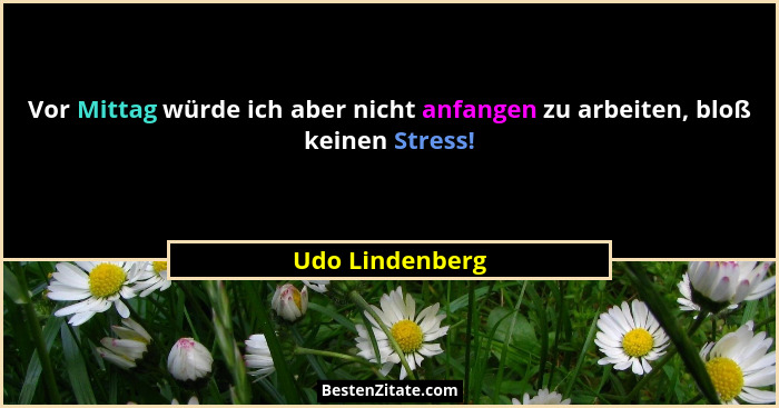 Vor Mittag würde ich aber nicht anfangen zu arbeiten, bloß keinen Stress!... - Udo Lindenberg
