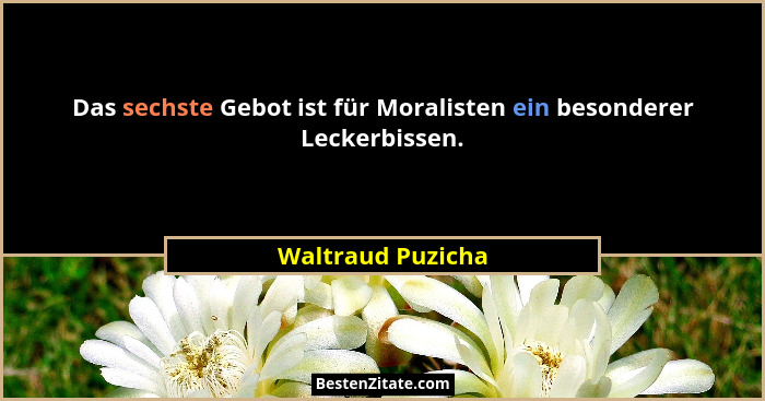Das sechste Gebot ist für Moralisten ein besonderer Leckerbissen.... - Waltraud Puzicha
