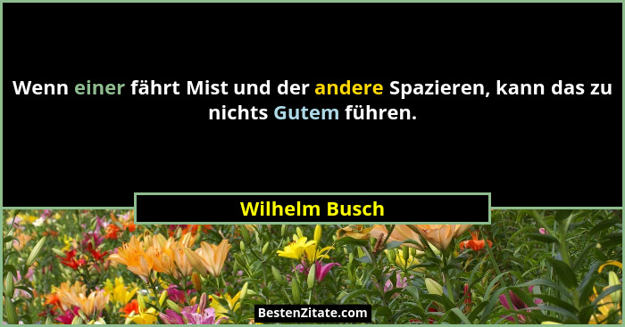 Wenn einer fährt Mist und der andere Spazieren, kann das zu nichts Gutem führen.... - Wilhelm Busch