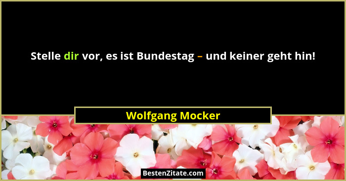 Stelle dir vor, es ist Bundestag – und keiner geht hin!... - Wolfgang Mocker