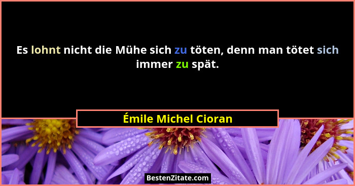Es lohnt nicht die Mühe sich zu töten, denn man tötet sich immer zu spät.... - Émile Michel Cioran